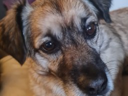 Modell Ernie &raquo; Modell Ernie